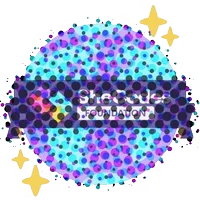 Developer-Image